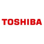 Toshiba Portege Z10T-A-11F 11.6 inch Notebook Paneli Ekranı