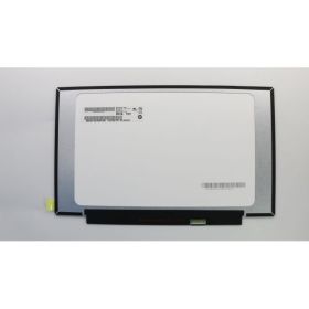 Dynabook Satellite Pro C40-G-10Q 14.0 inç 1366x768dpi LED Laptop Paneli